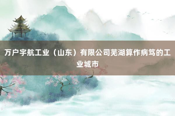 万户宇航工业（山东）有限公司芜湖算作病笃的工业城市